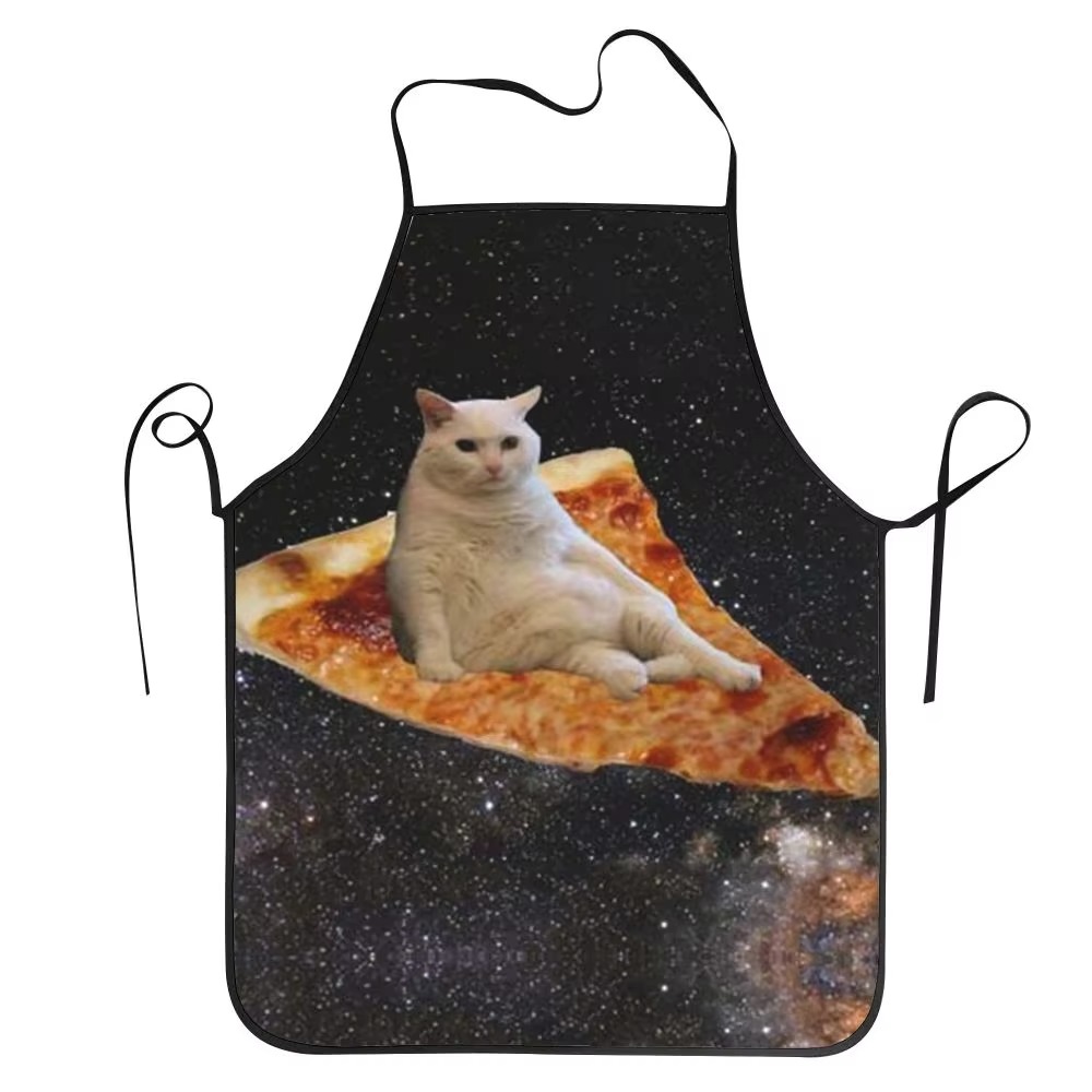 1PC Unisex Space Pizza Cat Apr - Home Cooking For Cats avis et prix