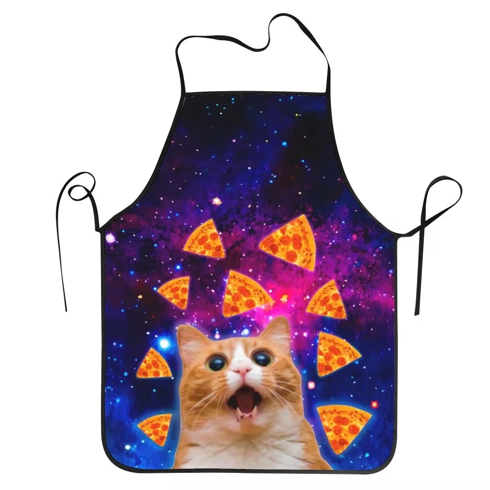 1PC Unisex Space Pizza Cat Apr - Home Cooking For Cats avis et prix