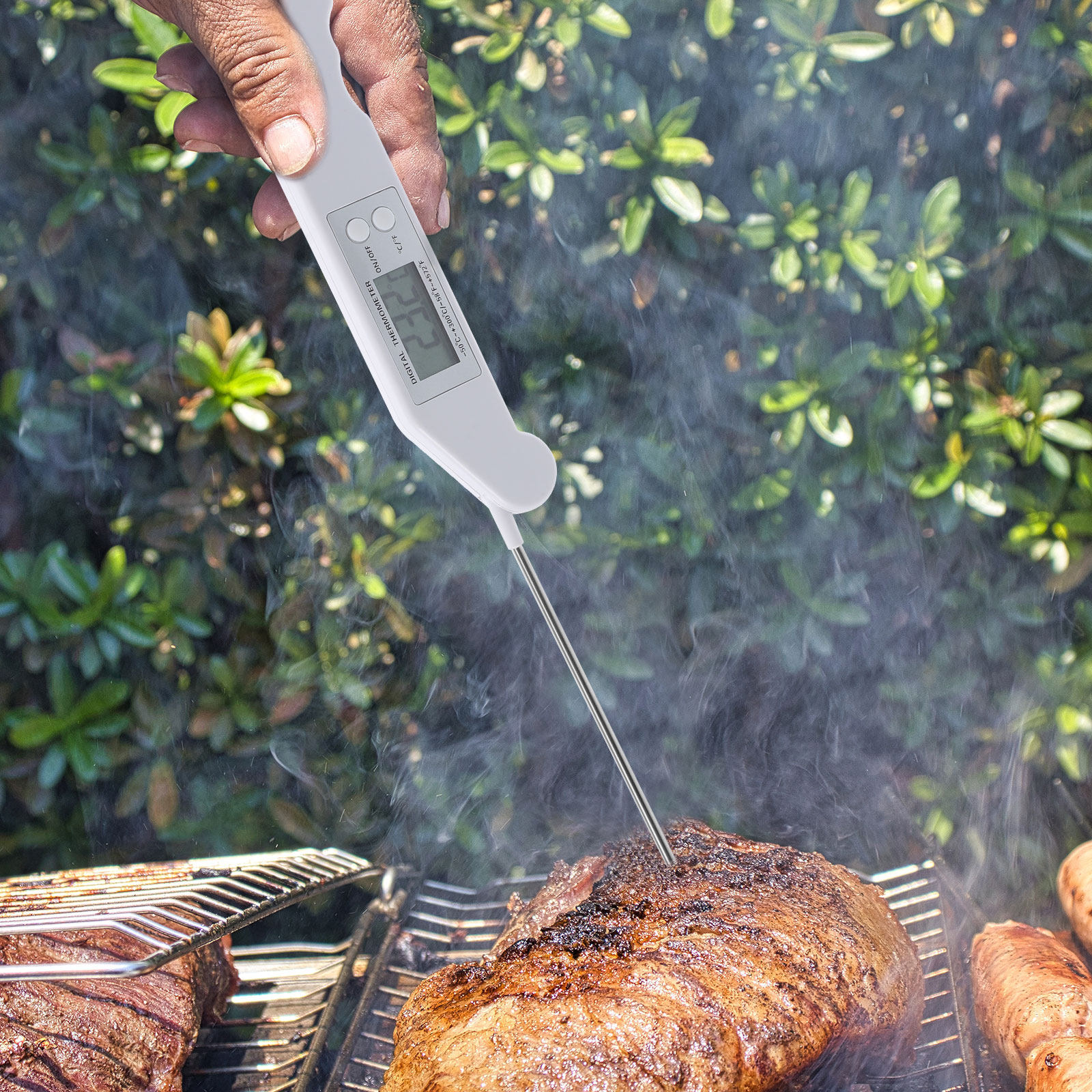 Folding Electronic Thermometer - Home Cooking Help avis et prix
