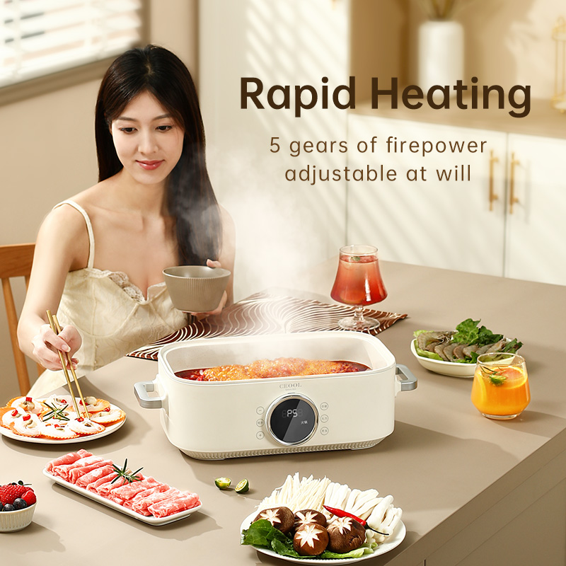 10L 3-in-1 Electric Food Steam - Home Cooking Electric avis et prix