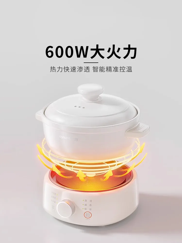 220V Ceramic Electric Stewpot  - Home Cooking Electric avis et prix